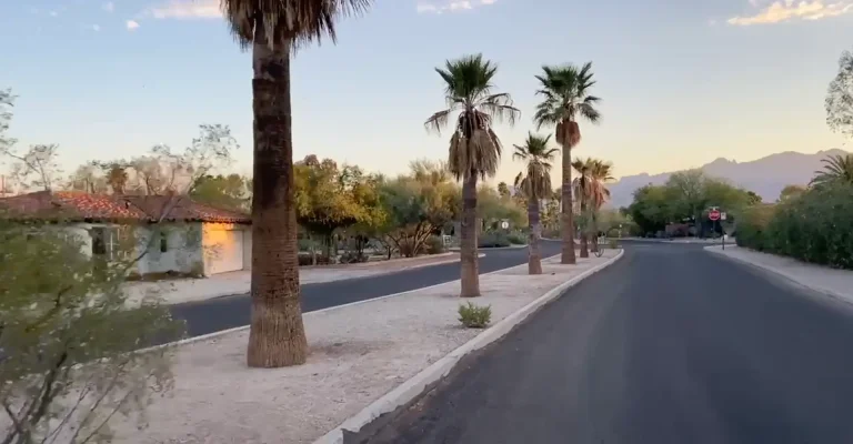 Palm Tree lined streets of the Catalina Vista neighborhood of Tucson